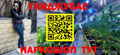 PSILOCYBIN Кимры